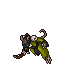 1st Mate Ratticus