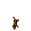 Annoying Dog