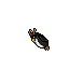 Dire Penguin