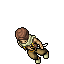 Nomad