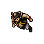 Pirate Cook