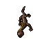 Salamander