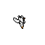 Seagull