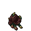 Two-Headed Turtle