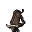 Water Buffalo