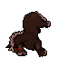 Wild Horse