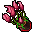 Flower Pot (Dryad's Heart, Grown Dry)