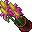 Flower Pot (Fairy Dancer, Grown)