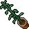 Indoor Plant