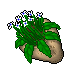 Potted Flower (Large)