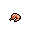 Shrimp