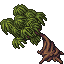 Kapok Tree