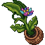 Megasylvan Plant