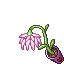 Pink Blossom Lamp (Lit)