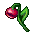 Bloodkiss Flower
