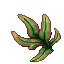 Umbrella Fern