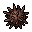 Thorn Seed