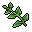 Catnip