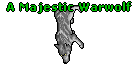 A Majestic Warwolf