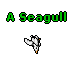 A Seagull