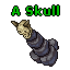 A Skull