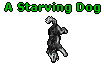 A Starving Dog