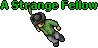 A Strange Fellow