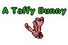 A Taffy Bunny