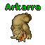 Arkarra