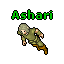 Ashari