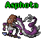 Asphota