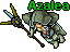 Azalea