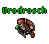 Brodrosch