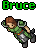 Bruce