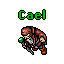 Cael