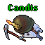 Candis