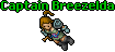 Captain Breezelda