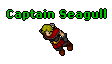 Captain Seagull