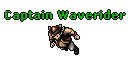 Captain Waverider
