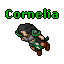Cornelia
