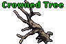 Crowned Tree