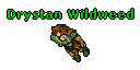 Drystan Wildweed