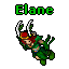 Elane