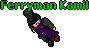 Ferryman Kamil