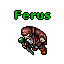 Ferus