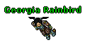 Georgia Rainbird