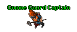 Gnome Guard Captain