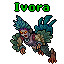 Ivora