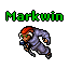 Markwin