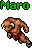 Maro